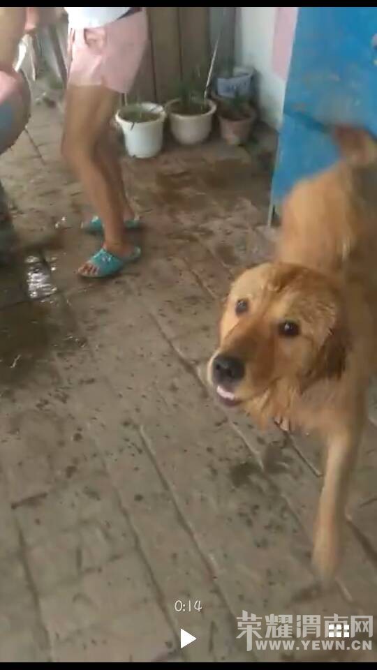 ���˹��������ӡ��ھ������ֲ��г��ԱߵĴ󼪴��߶������������