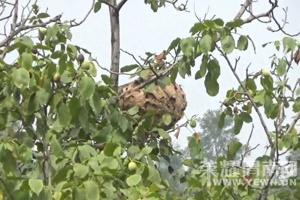 ���������䡰���ס�����  μ���������������𡱳�����