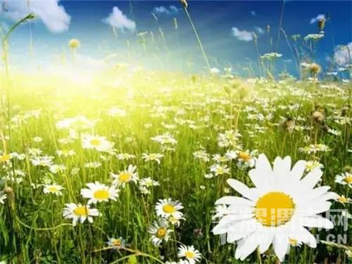 �������������֮��---����