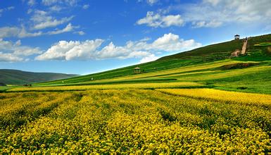 �������������֮��---����