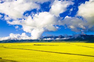 �������������֮��---����