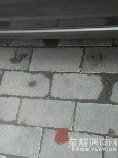 ���ѵĳ����ʵ��¥¥�±�����Ҳû�˹ܣ������������ý�