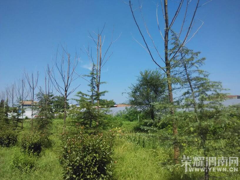 μ���ߵ����������������ӡ�󶼲����ˡ�