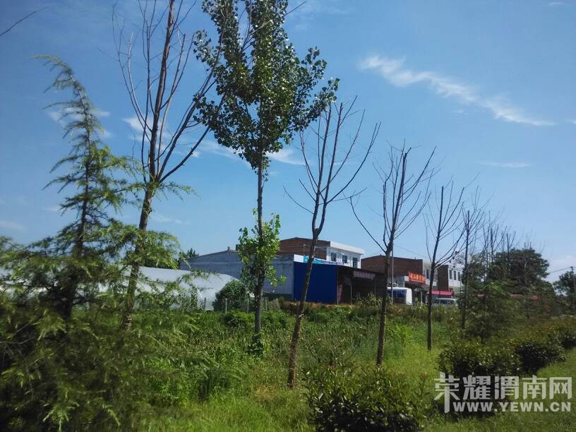 μ���ߵ����������������ӡ�󶼲����ˡ�
