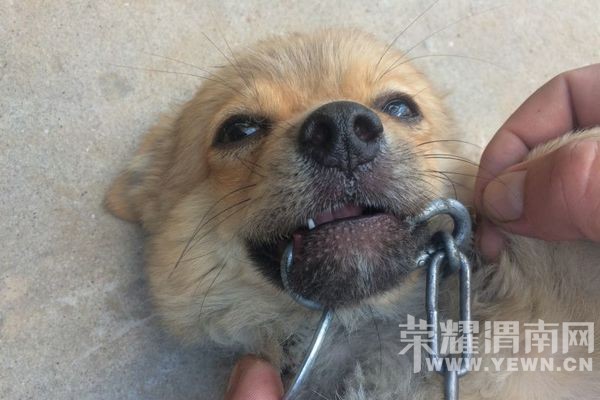 С�̹�̰�汻������ס  ����״������