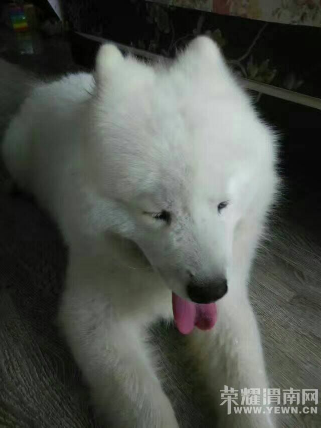 ˭�ҽ���������·�볯��·ʮ�ֶ���ֻ��Ħ��������������