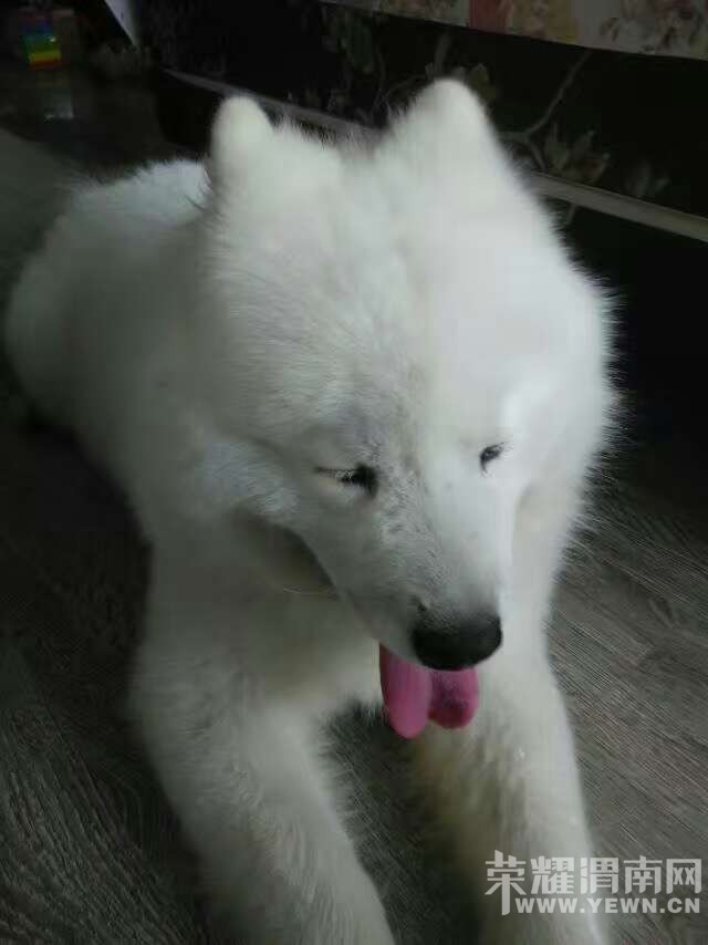 ˭�ҽ���������·�볯��·ʮ�ֶ���ֻ��Ħ�������������죡