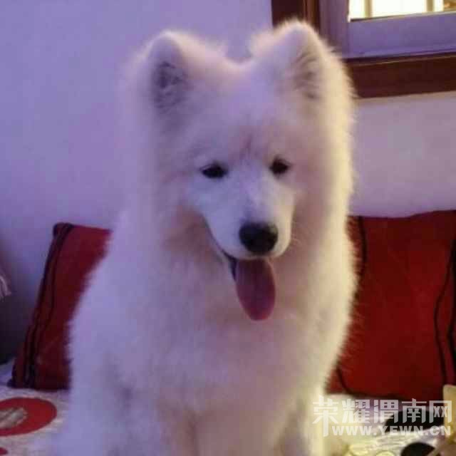 ���˰�Ȯ��Ħ����������������ұ��ҶѴ��߶������񵽵ĺ�������ϵ��