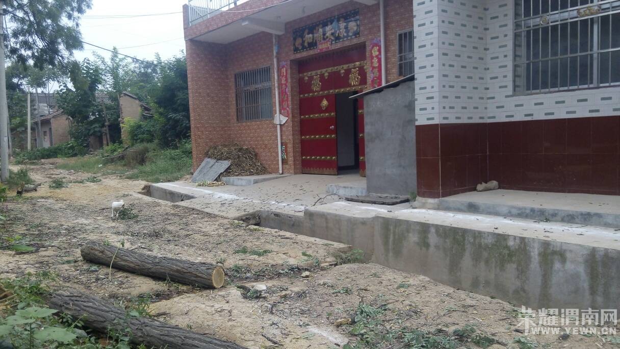 205140mn1no31tnetbbbn1.jpg