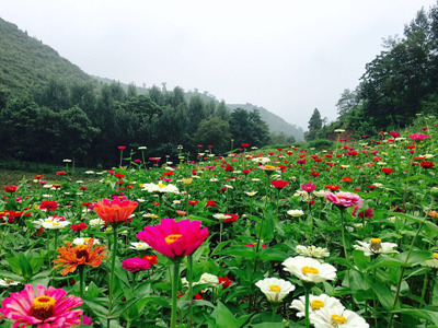  ��ԥ����Ͽ�Ȼ�󽱣���������μ����������Ʊ���ܣ� 