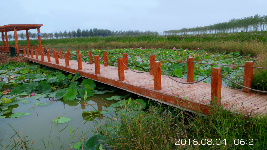 �����ĺ�    ����C101�ֻ�����