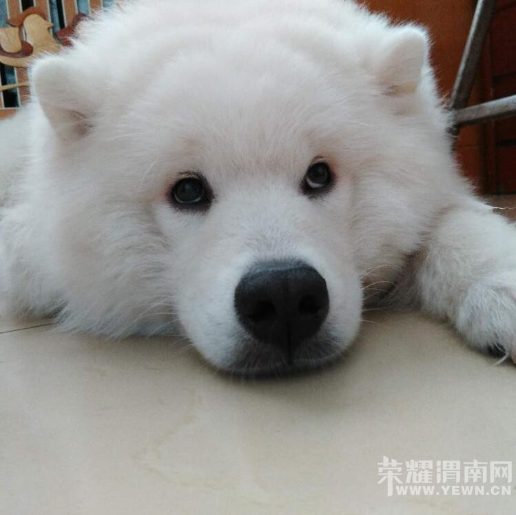 9��6����9��������·�⻪С�������߶���Ȯ ϣ�������˰�æѰ��