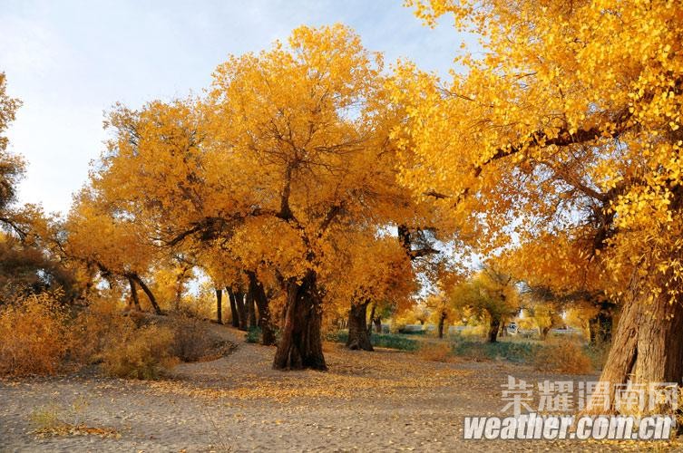 ���ŷ����顿����ɺ����־������������