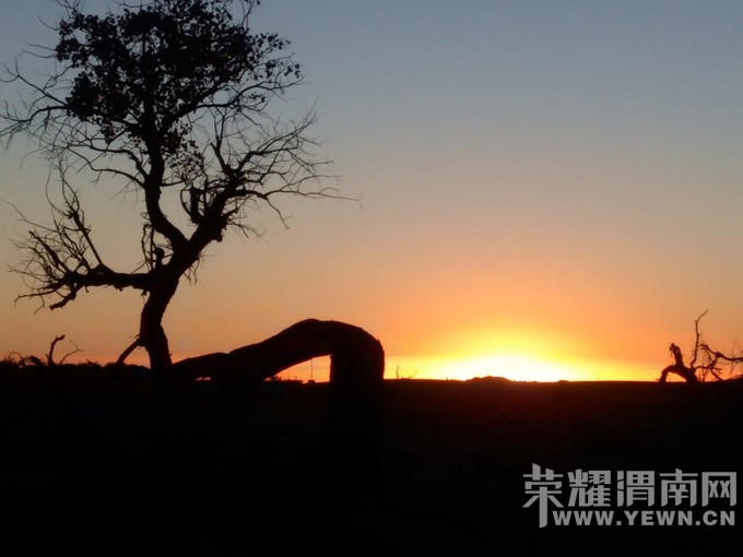 ���ŷ����顿����ɺ����־������������