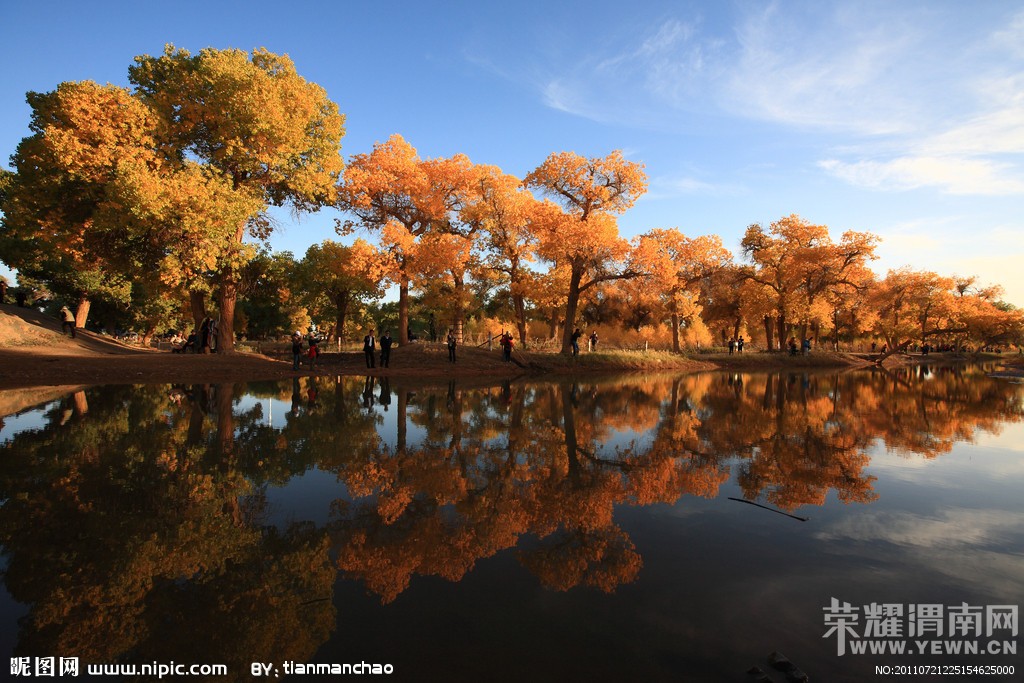 ���ŷ����顿����ɺ����־������������