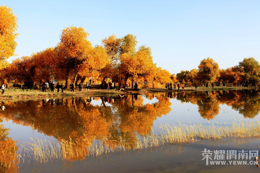 ���ŷ����顿����ɺ����־������������