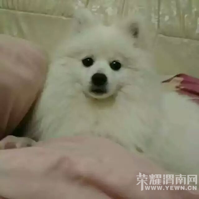 �������ˣ����ˣ����˺��ż����������˰�æ��