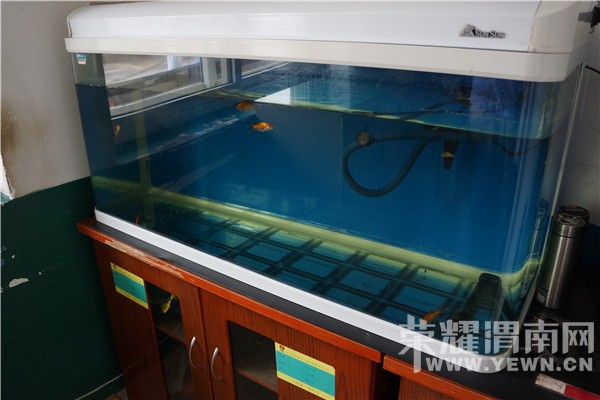 μ������ϲӭ35���������߽����� �ι۲��������