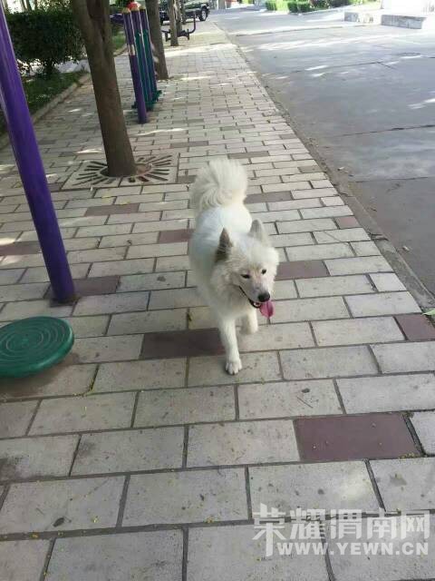 ����·��һֻ��Ħ��˭�ҹ������죡