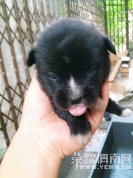 �Լ����Ĺ�����˭Ҫ��