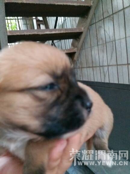 �Լ����Ĺ�����˭Ҫ��