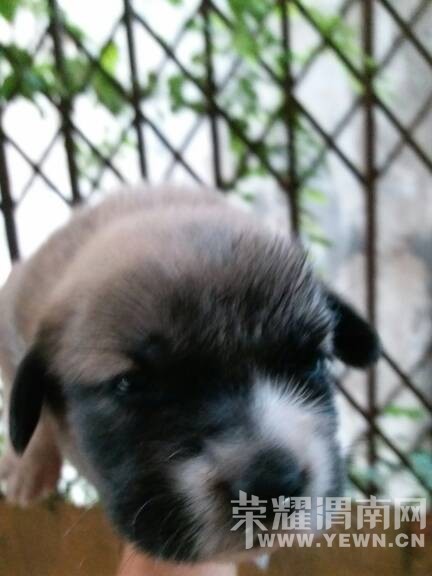 �Լ����Ĺ�����˭Ҫ��