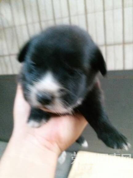 �Լ����Ĺ�����˭Ҫ��