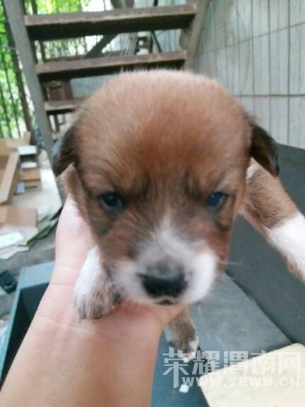 �Լ����Ĺ�����˭Ҫ��