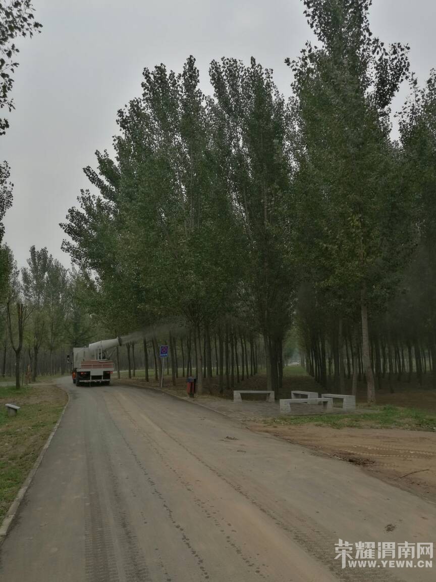 �����춫����̬�ֵ�������ҩ���������ע�Ⱑ��