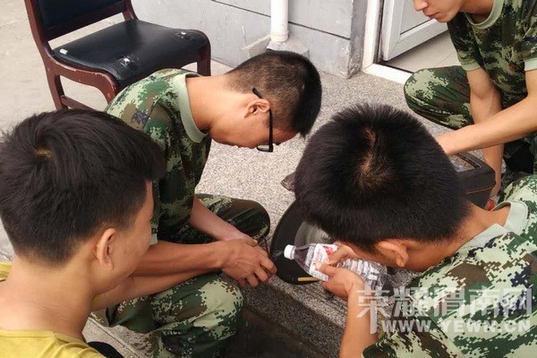 ���ӽ�ָ��������ָ���� ��������������