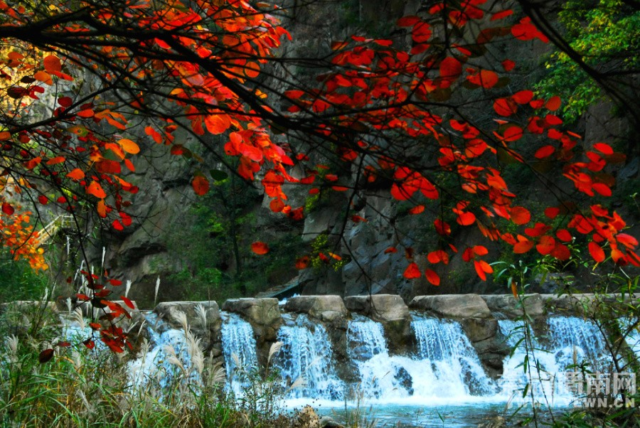 ����ڣ�ȥԥ����Ͽ���ͻ�����������