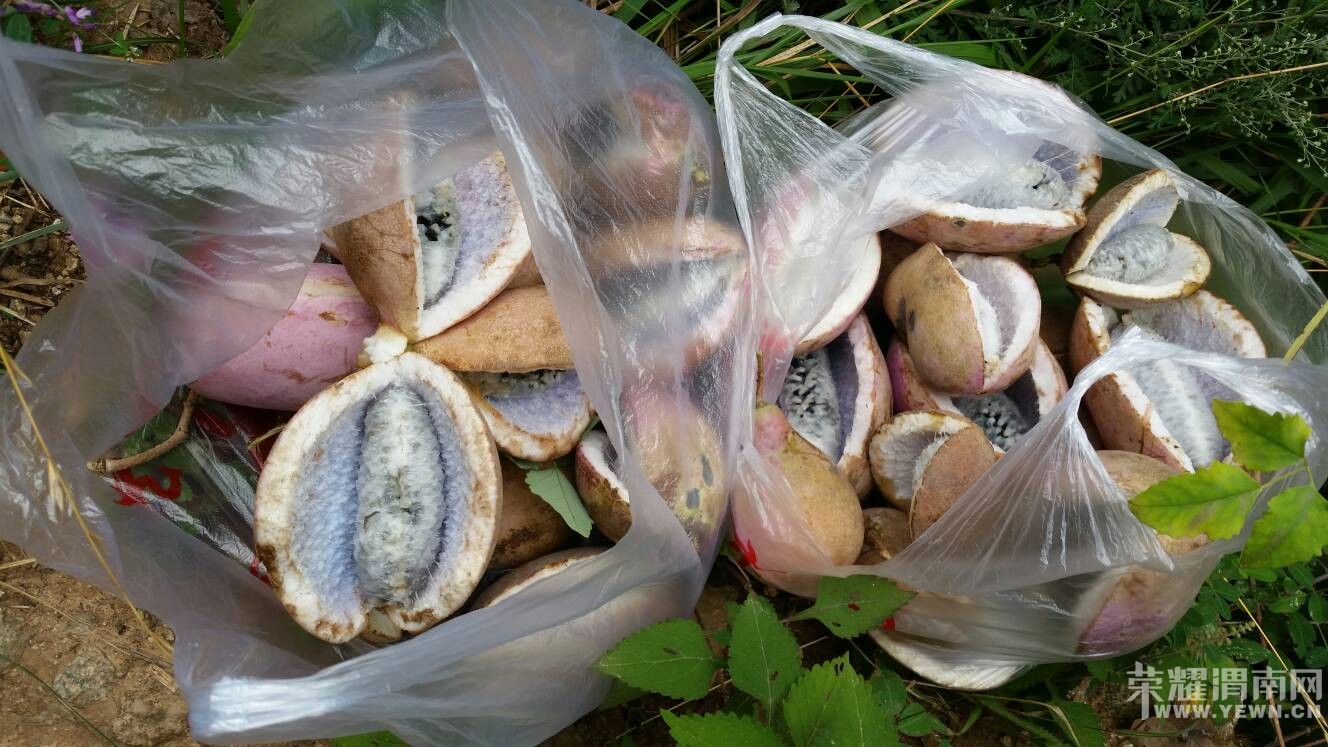 ����һ�ģ���������Ұ����˭�Թ���