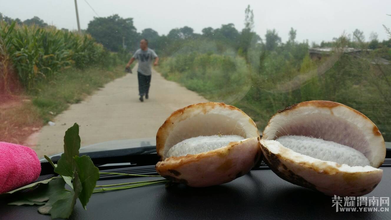 ����һ�ģ���������Ұ����˭�Թ���