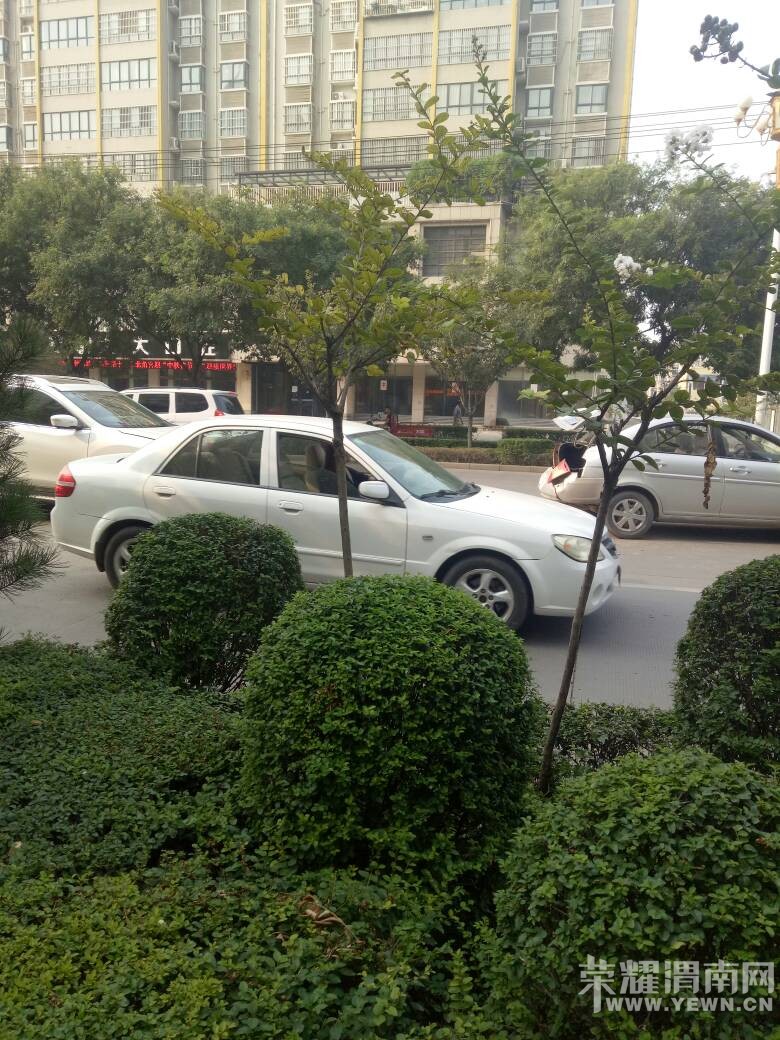 163521ql88jtahajl5alay.jpg