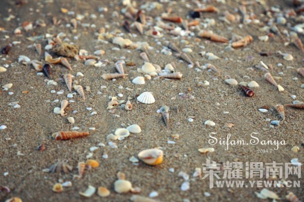 һ��İ���ĵط���������һ���Ŀ�����