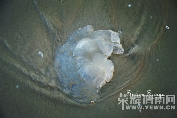 һ��İ���ĵط���������һ���Ŀ�����