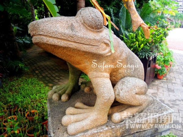 һ��İ���ĵط���������һ���Ŀ�����