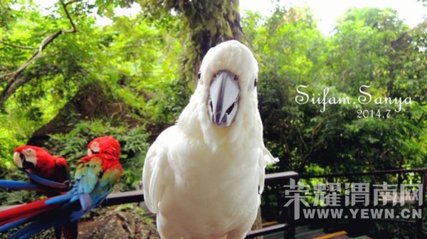 һ��İ���ĵط���������һ���Ŀ�����