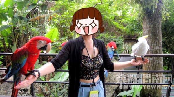 һ��İ���ĵط���������һ���Ŀ�����