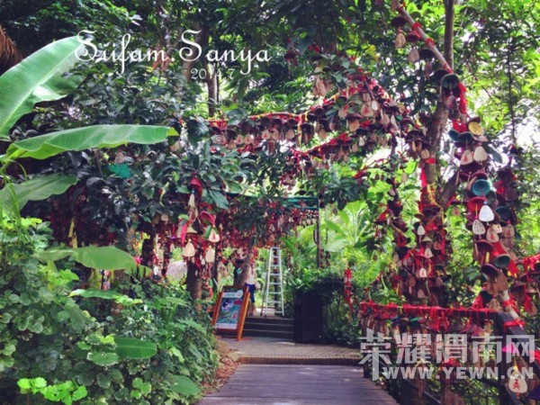 һ��İ���ĵط���������һ���Ŀ�����