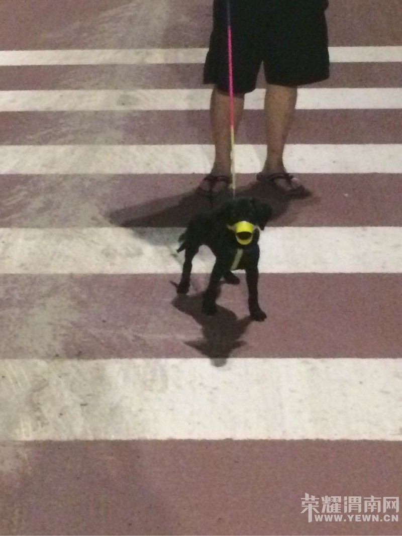 Ѱ����ʾ����ɫ�������������´������ڱ����̳���ʧ