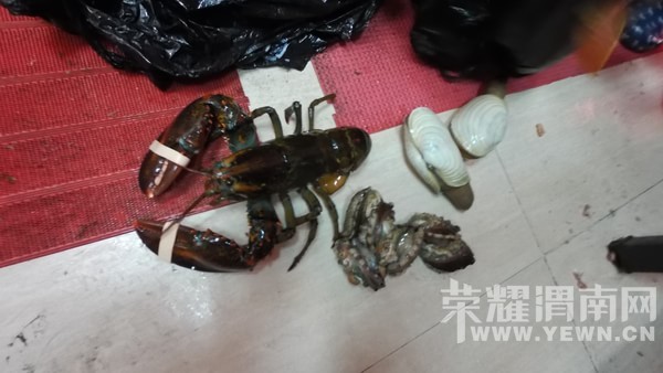 �����Ŷ��˶�ʵ�һ�����У��Ȼ�������