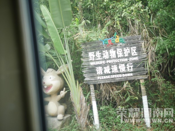 �����Ŷ��˶�ʵ�һ�����У��Ȼ�������