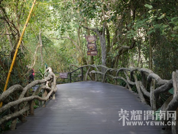 �����Ŷ��˶�ʵ�һ�����У��Ȼ�������