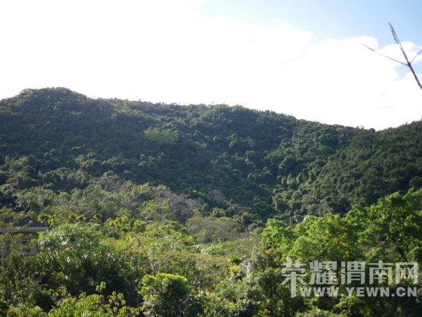 �����Ŷ��˶�ʵ�һ�����У��Ȼ�������