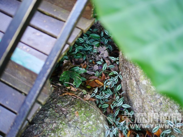 �����Ŷ��˶�ʵ�һ�����У��Ȼ�������