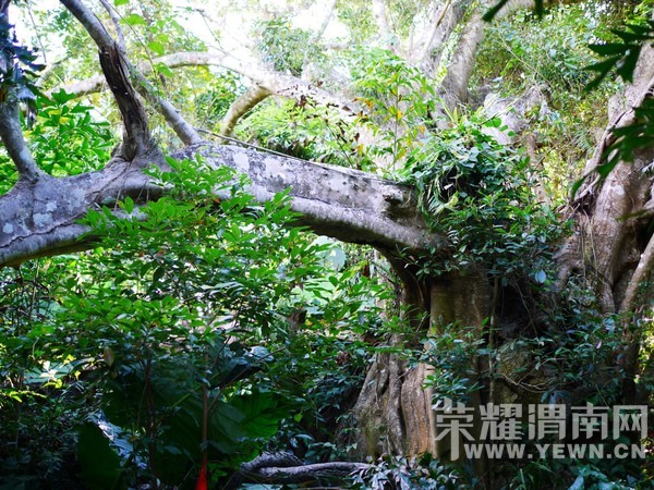 �����Ŷ��˶�ʵ�һ�����У��Ȼ�������