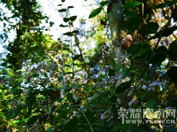 �����Ŷ��˶�ʵ�һ�����У��Ȼ�������