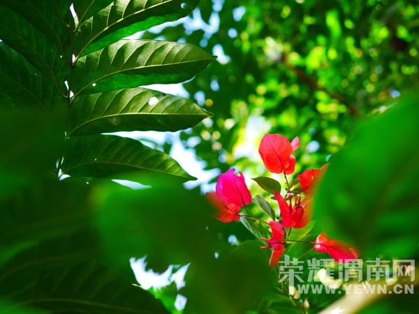 �����Ŷ��˶�ʵ�һ�����У��Ȼ�������