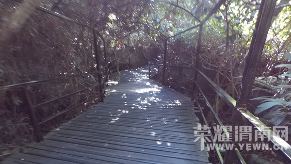 �����Ŷ��˶�ʵ�һ�����У��Ȼ�������